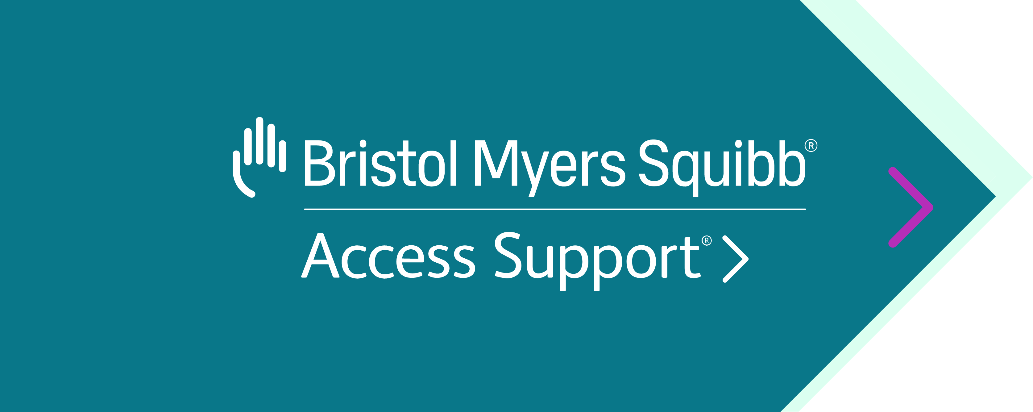 Bristol Myers Squibb - Access Support